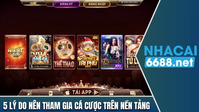 5 lý do nên tham gia cá cược tại Nhatvip