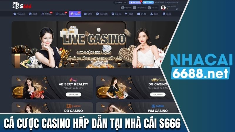 Cá cược casino hấp dẫn tại nhà cái S666