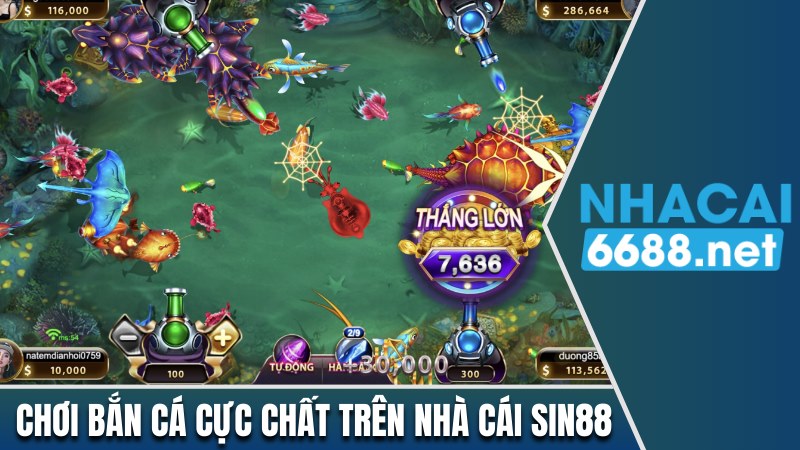 Chơi bắn cá cực chất trên nhà cái Sin88