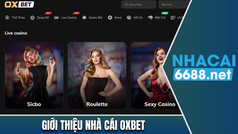 Giới thiệu nhà cái Oxbet