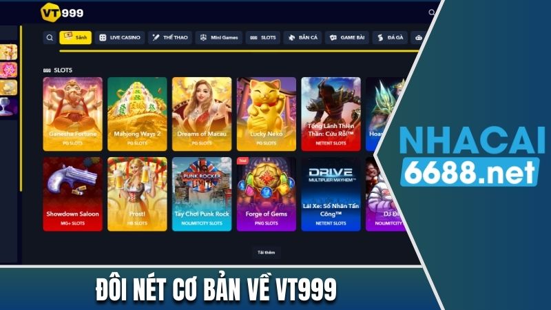 Một vài thông tin cơ bản về VT999