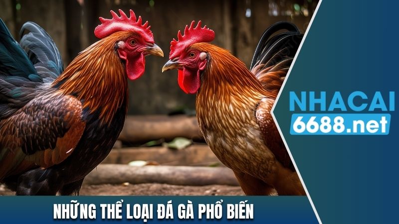 Những thể loại đá gà online phổ biến